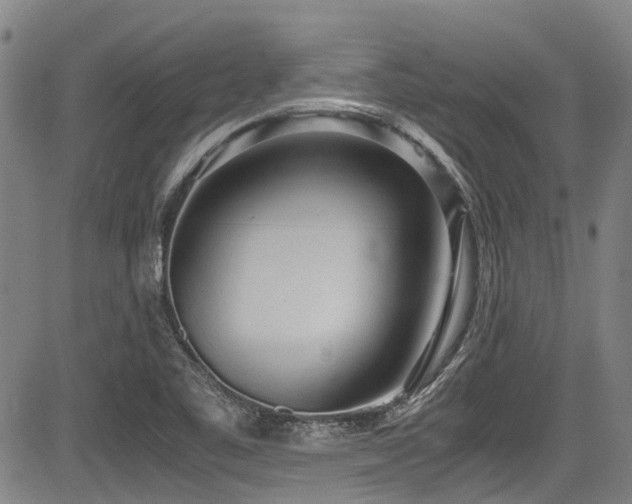 X0000084001461200702161120