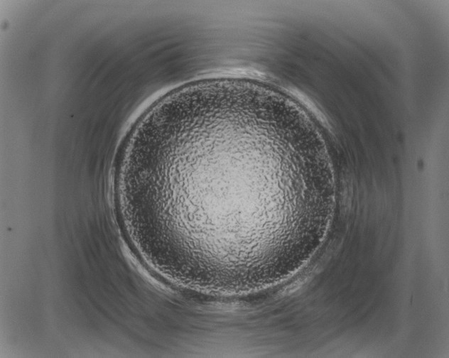 X0000084001468200702161120