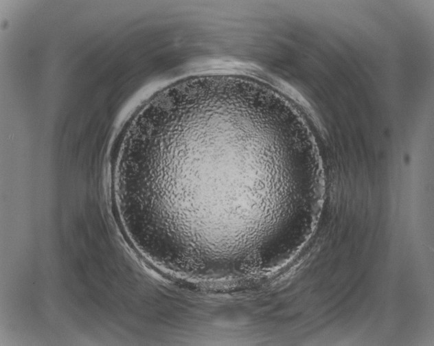 X0000084001472200702161120