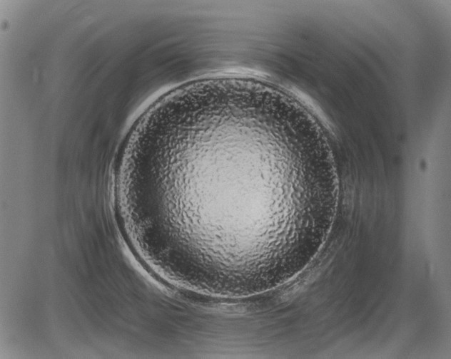 X0000084001476200702161120