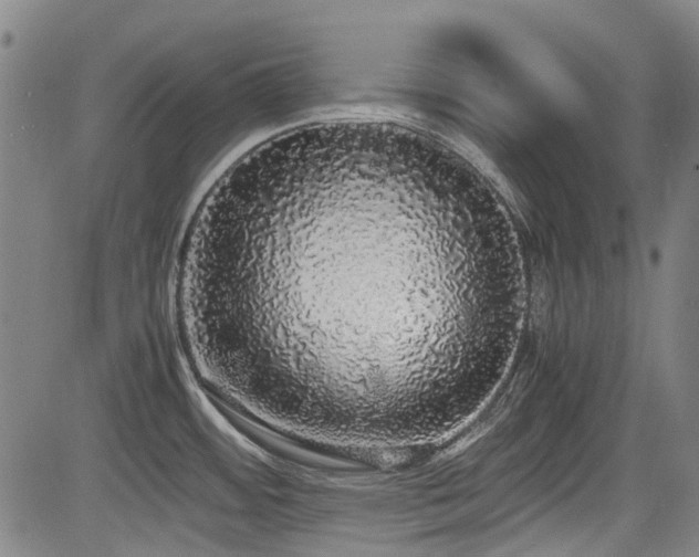 X0000084001484200702161120