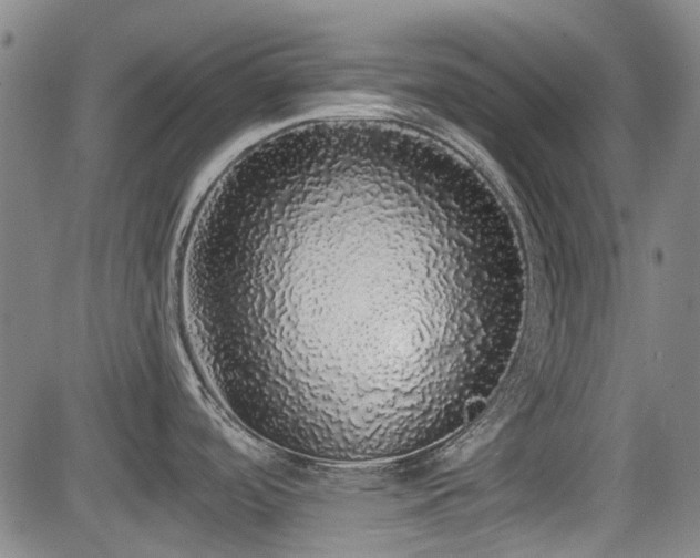 X0000084001488200702161120