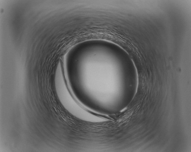 X0000084001489200702161119