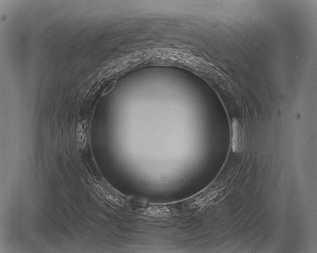 X0000084001491200702161119