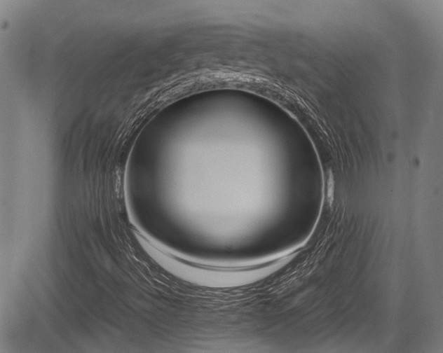 X0000084001492200702161119