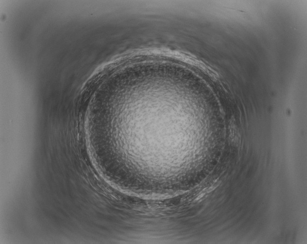X0000084001494200702161119