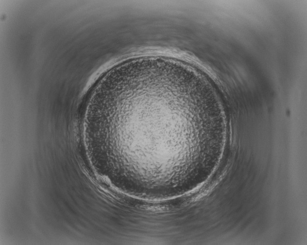X0000084001501200702161119