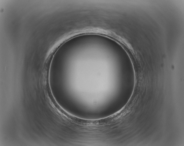 X0000084001504200702161119