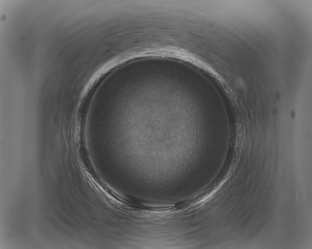 X0000084001506200702161119