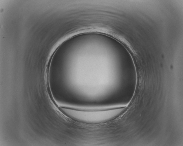 X0000084001516200702161120