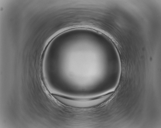 X0000084001534200702161120