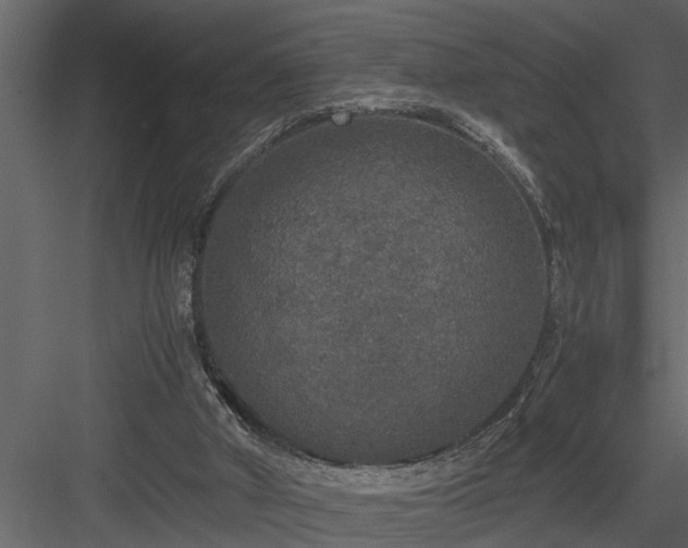X0000084000010200702232150