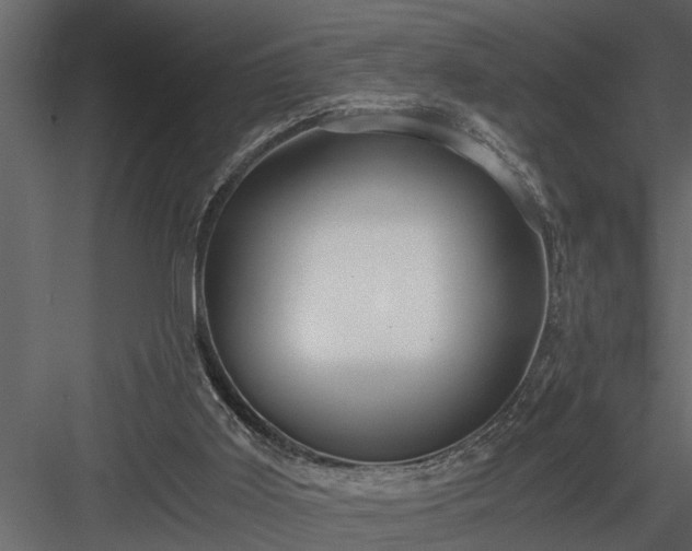 X0000084000011200702232150