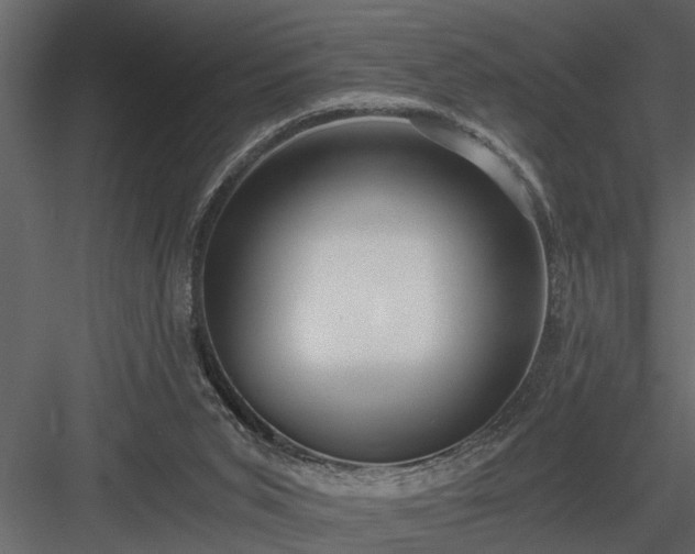 X0000084000015200702232150