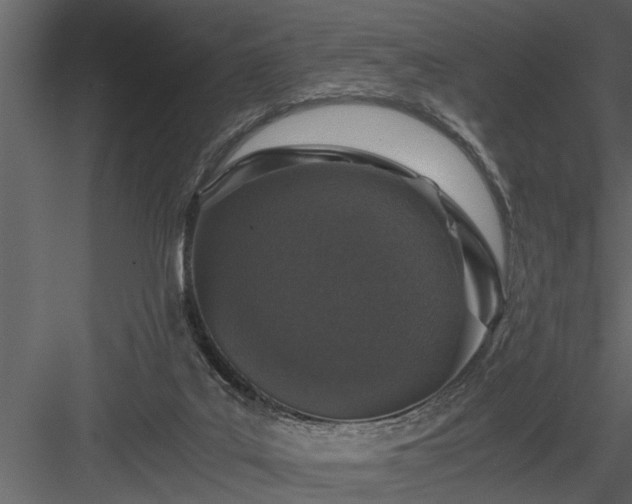 X0000084000019200702232150