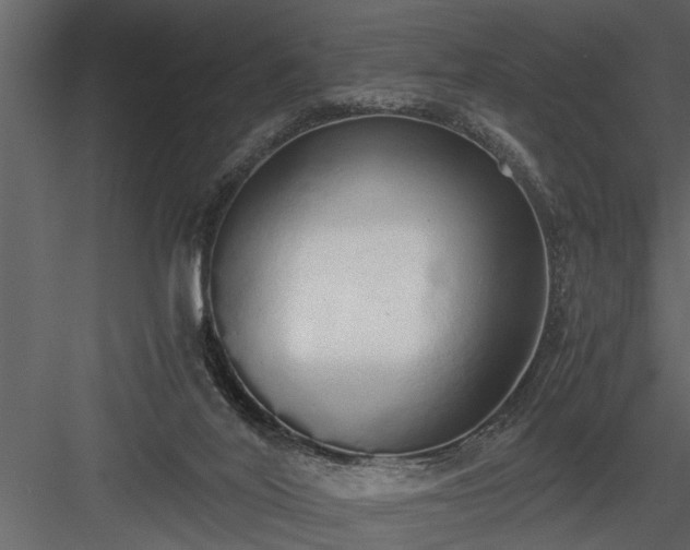 X0000084000020200702232150