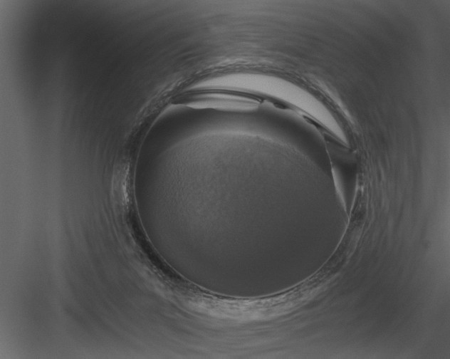 X0000084000023200702232149
