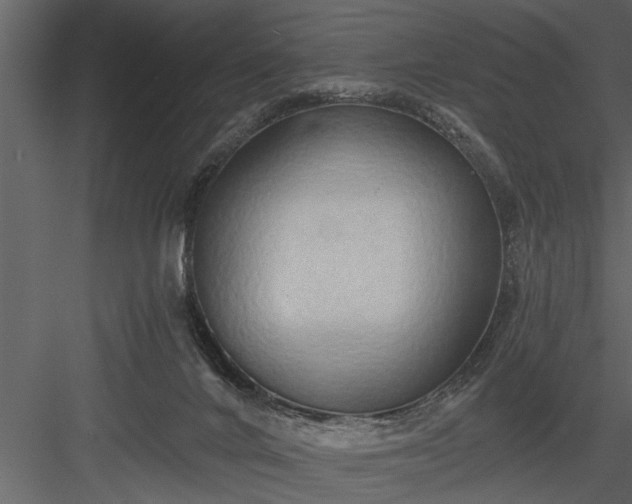 X0000084000024200702232149