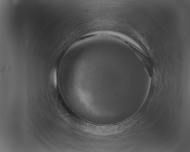 X0000084000027200702232149