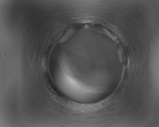X0000084000031200702232149