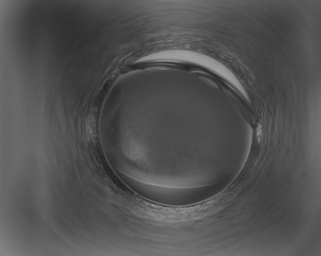 X0000084000035200702232149