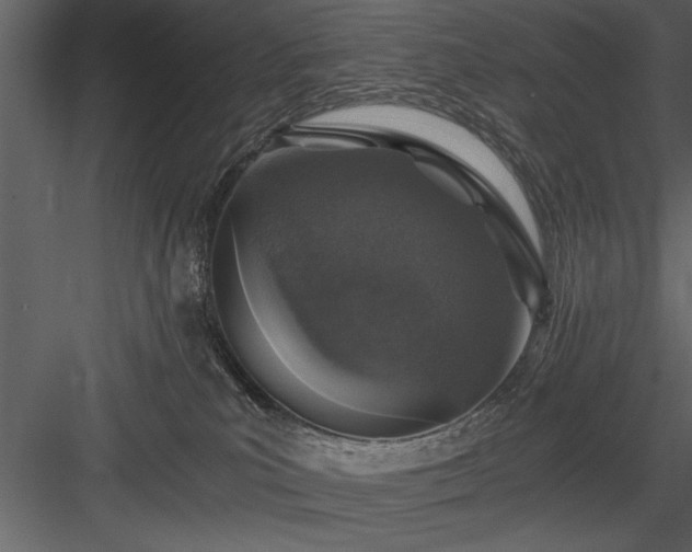 X0000084000039200702232149