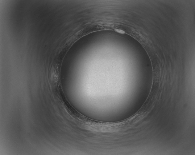 X0000084000040200702232149