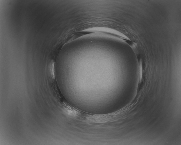 X0000084000041200702232149