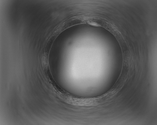 X0000084000044200702232149