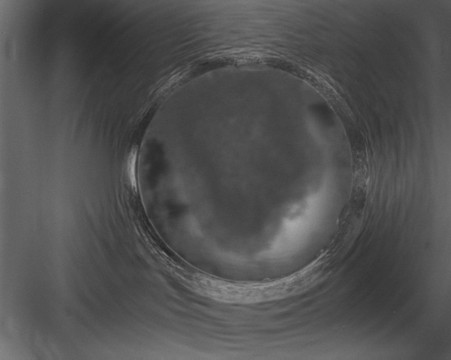 X0000084000047200702232149