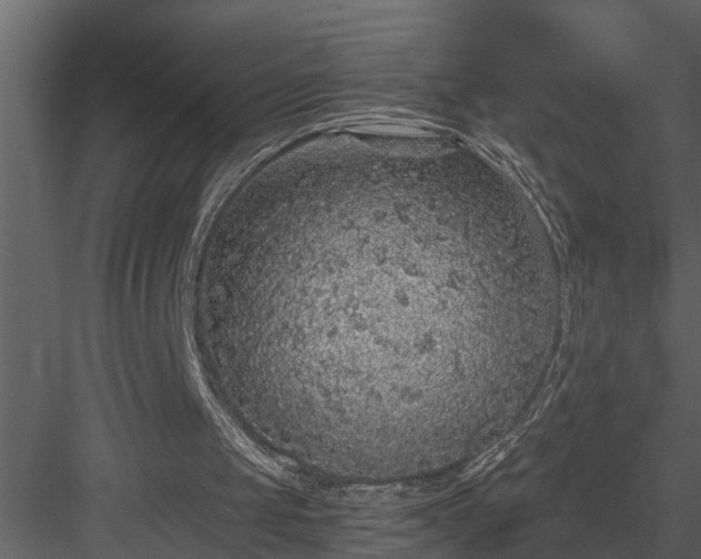 X0000084000049200702232148