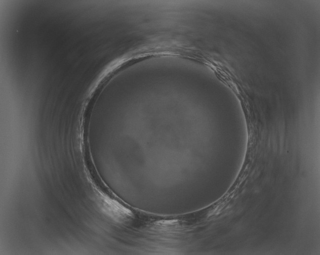 X0000084000054200702232148