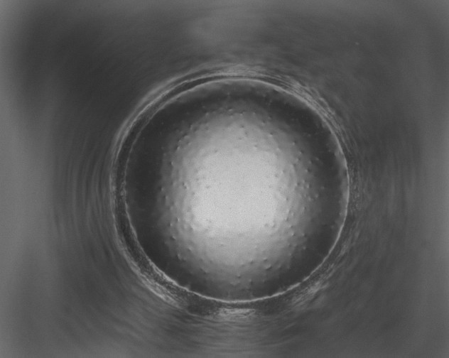 X0000084000055200702232148