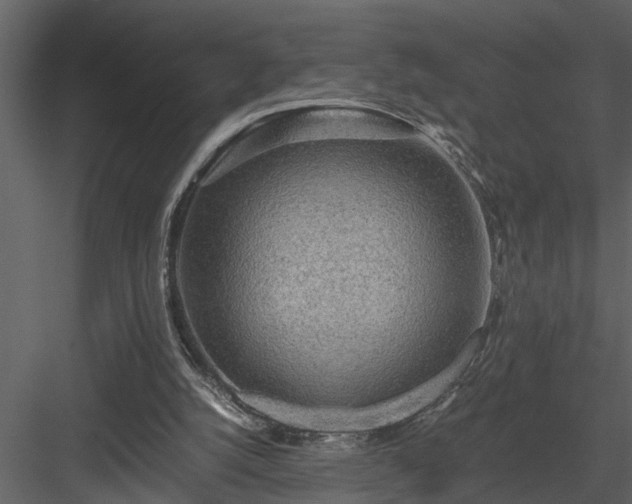X0000084000056200702232148