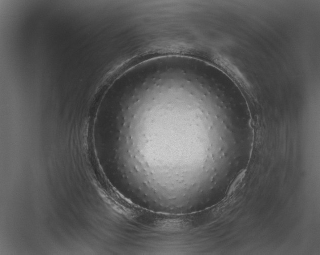X0000084000058200702232148