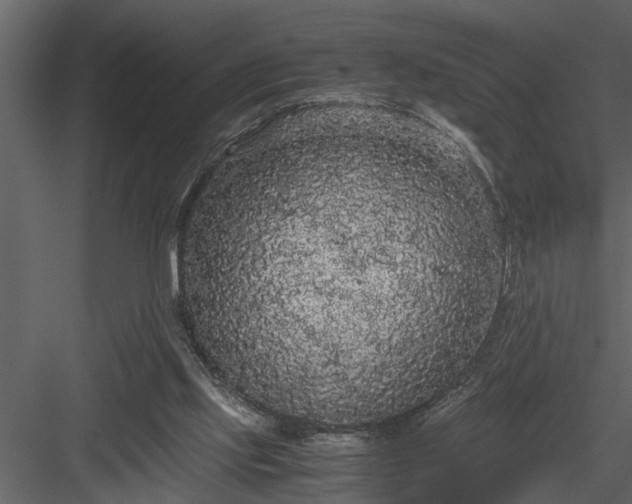 X0000084000061200702232148