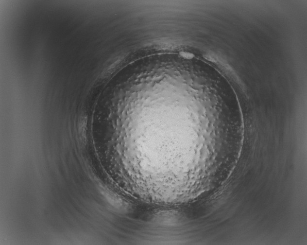 X0000084000066200702232149