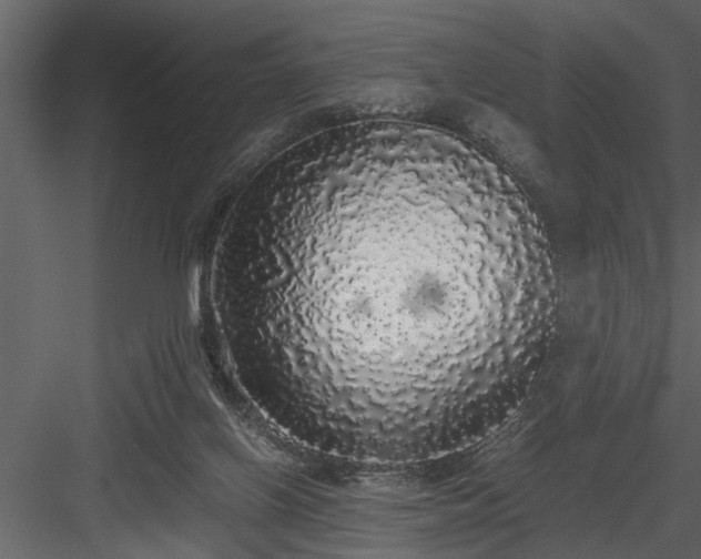 X0000084000070200702232149