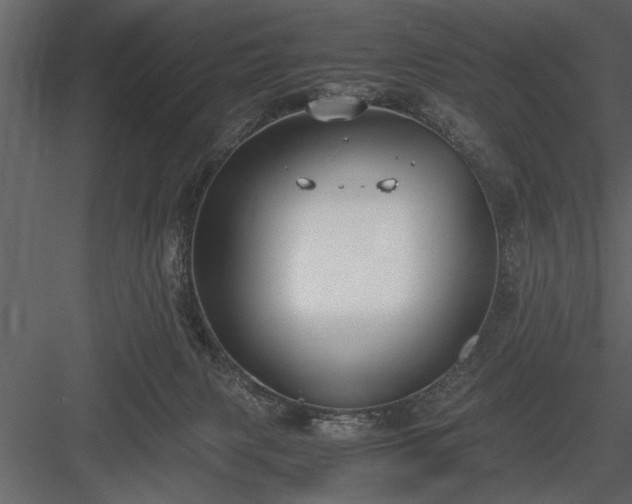 X0000084000079200702232149
