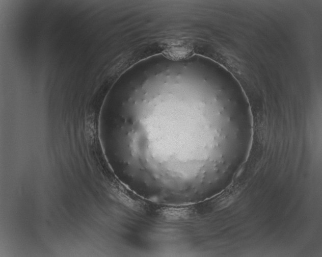 X0000084000085200702232149