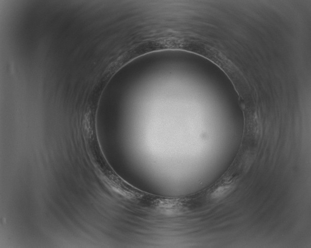 X0000084000088200702232149