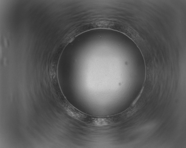 X0000084000091200702232149