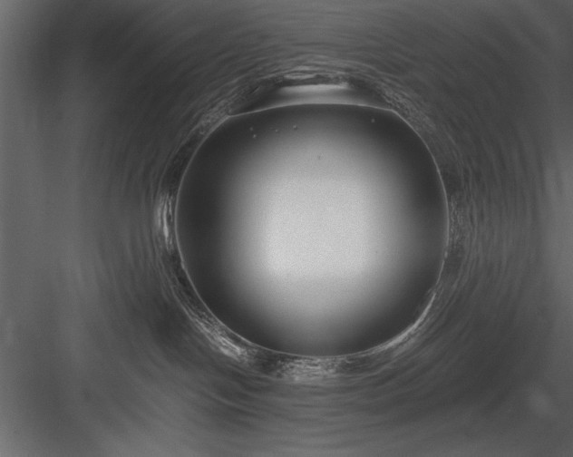 X0000084000094200702232149