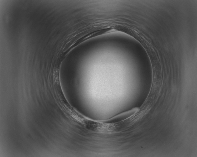 X0000084000096200702232149