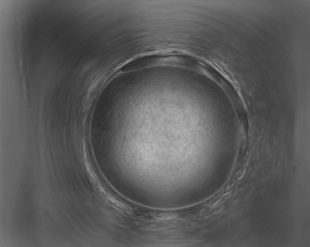 X0000084000097200702232148