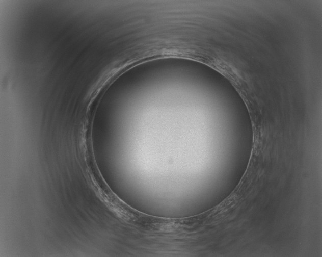 X0000084000098200702232148
