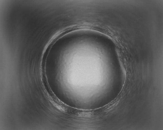 X0000084000102200702232148