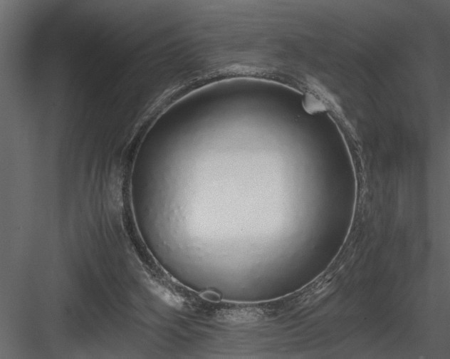 X0000084000106200702232148