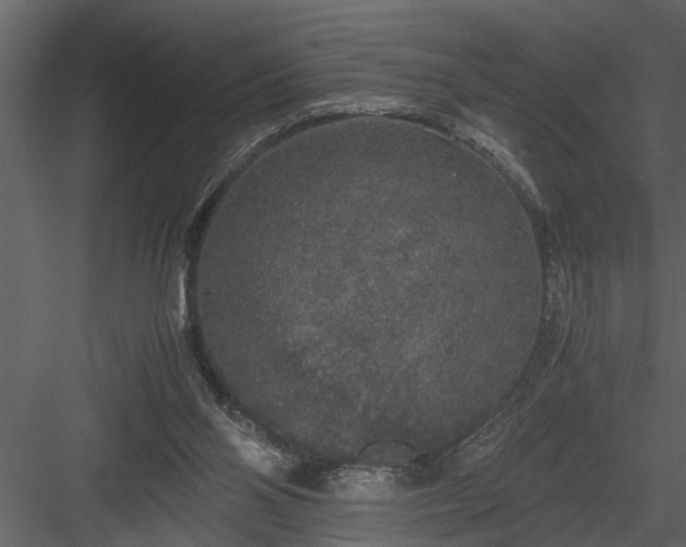 X0000084000110200702232148
