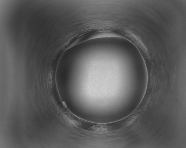 X0000084000113200702232148
